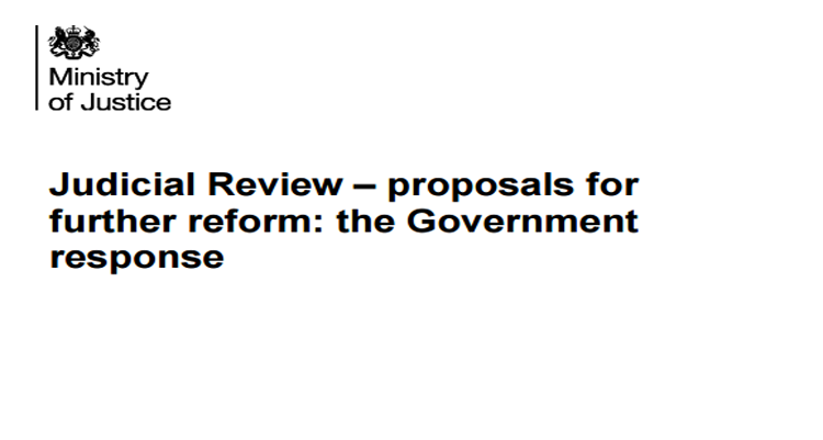judicial_review_cover0214