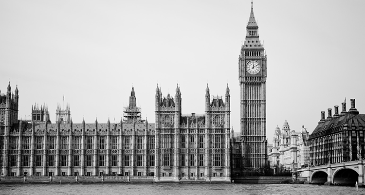 rota_parliamentaryreport_750x401